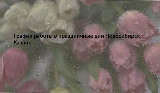 График работы в праздничные дни